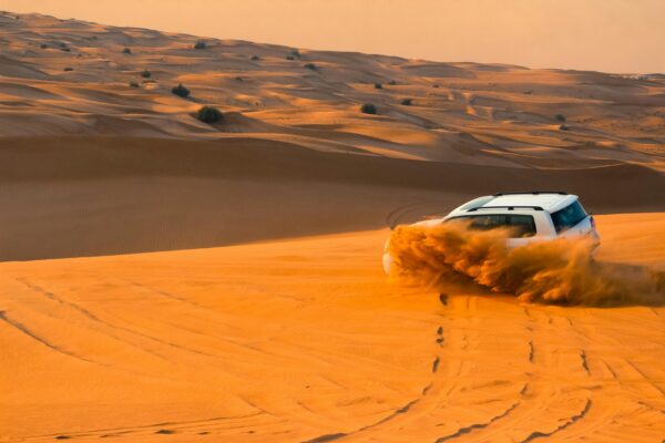 Best Desert Safari Experiences in Dubai