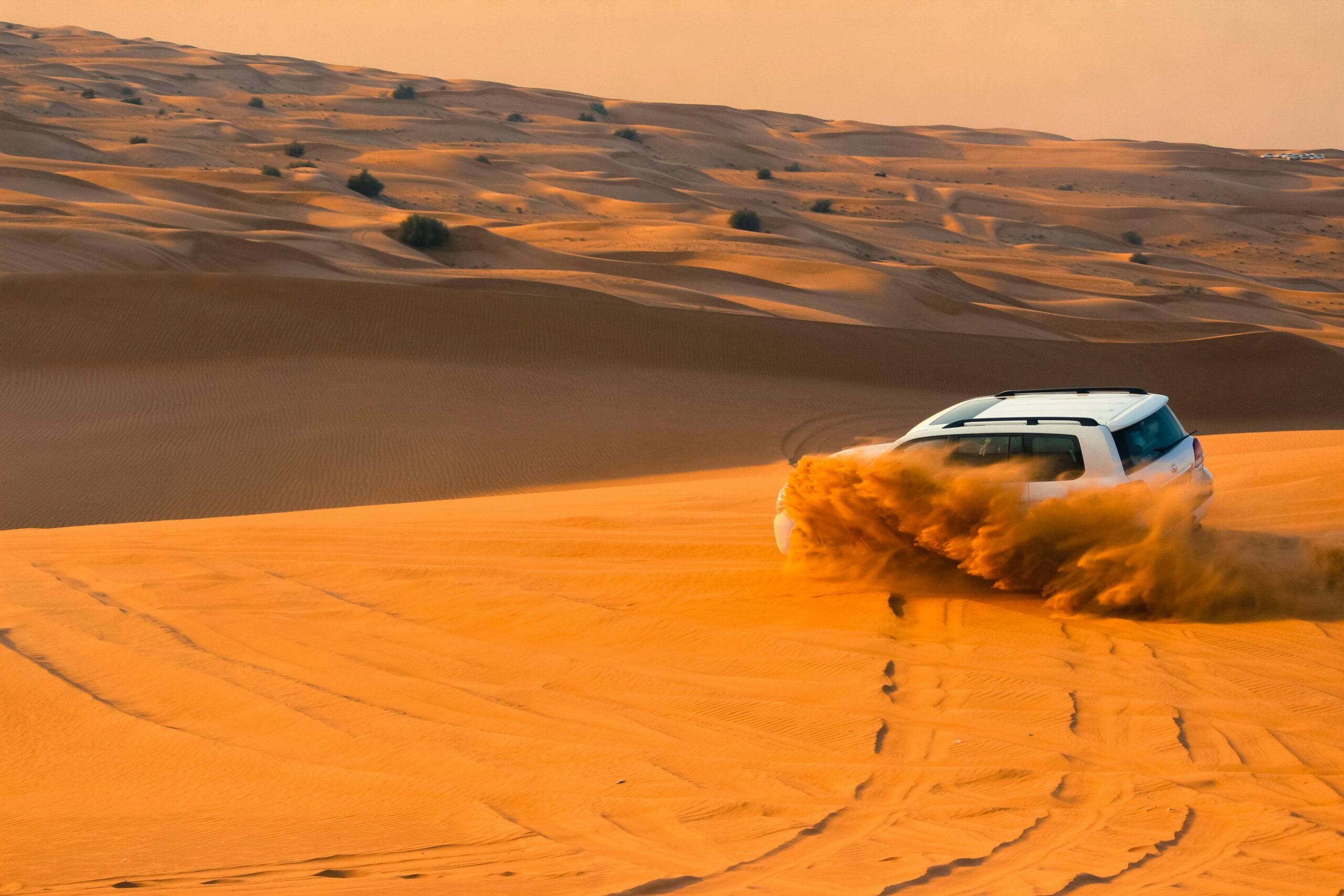 Best Desert Safari Experiences in Dubai